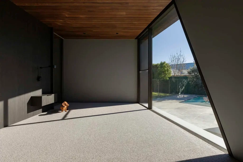 room with a dog sitting on a carpe